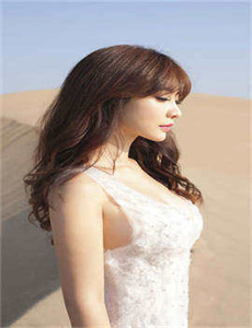 《好莱坞之妓》